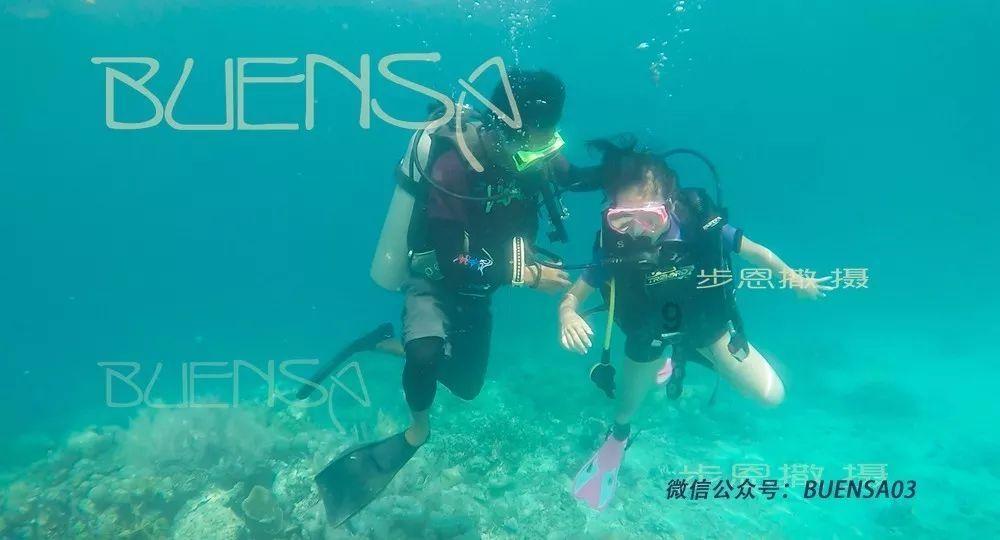 逃离奇异森林